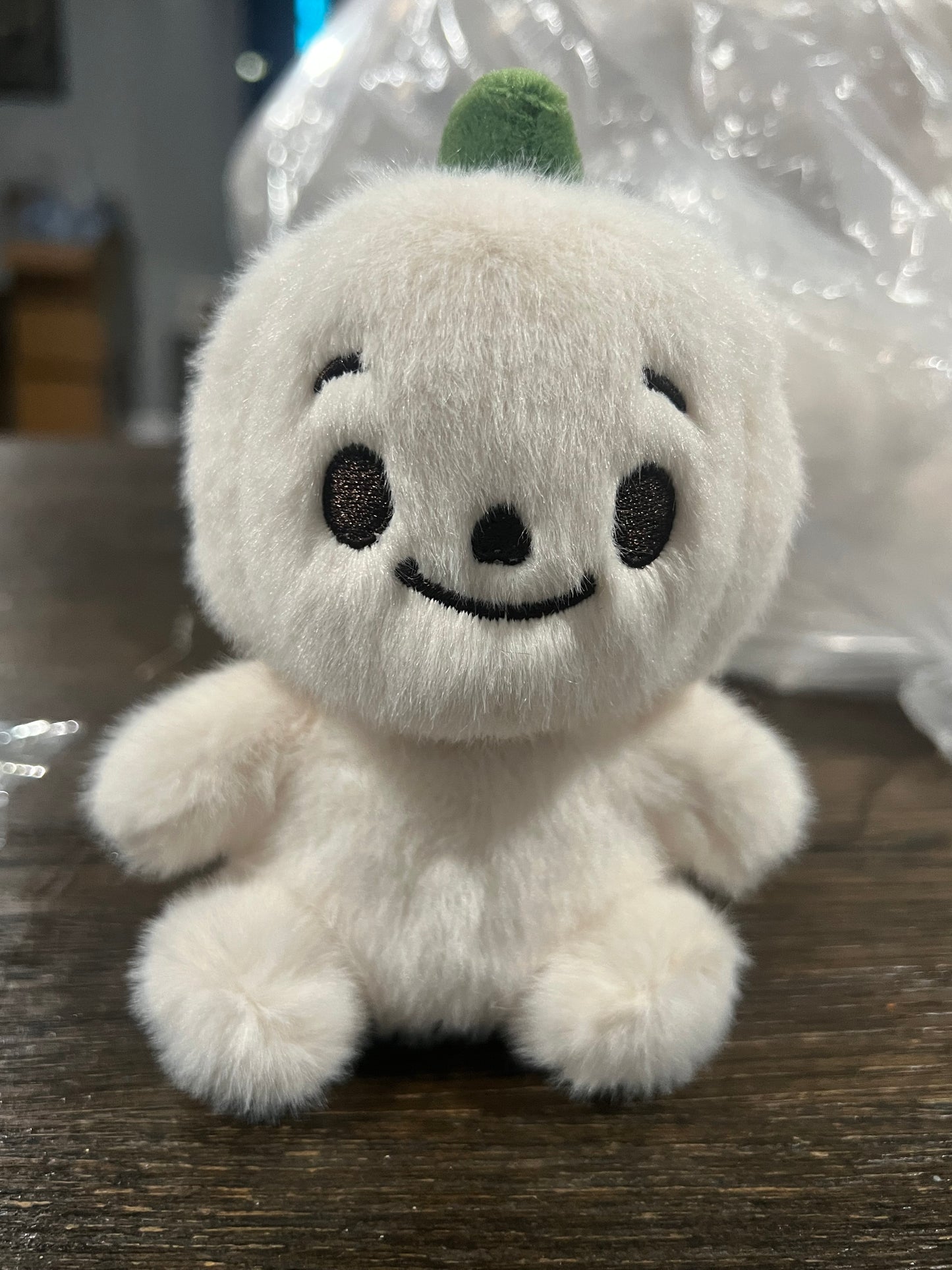 Pumpkin Palz Blind Box